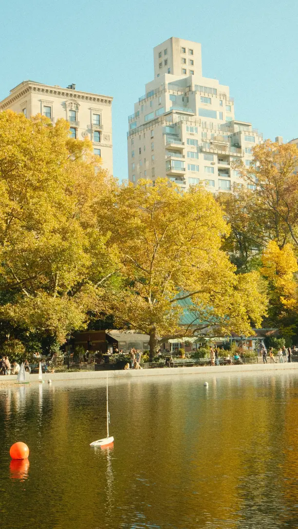 City buildings reflecting over a lakeside view